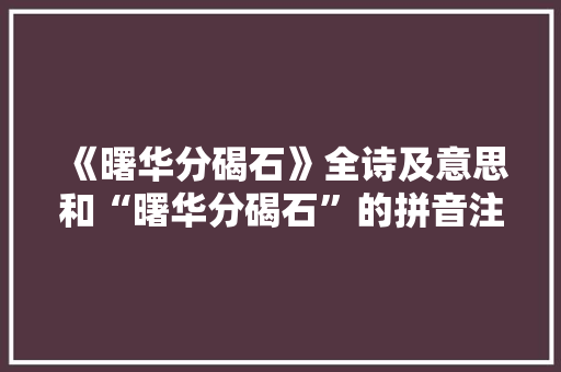 《曙华分碣石》全诗及意思和“曙华分碣石”的拼音注释 诗词鉴赏