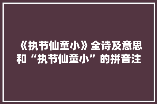《执节仙童小》全诗及意思和“执节仙童小”的拼音注释 诗词鉴赏
