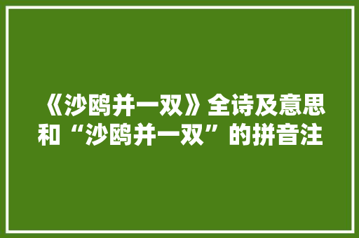 《沙鸥并一双》全诗及意思和“沙鸥并一双”的拼音注释 诗词鉴赏