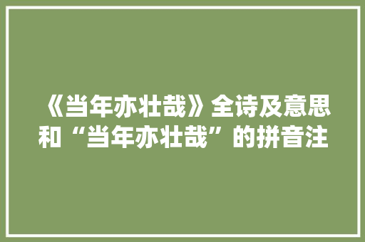 《当年亦壮哉》全诗及意思和“当年亦壮哉”的拼音注释 诗词鉴赏