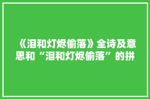 《泪和灯烬偷落》全诗及意思和“泪和灯烬偷落”的拼音注释 诗词鉴赏