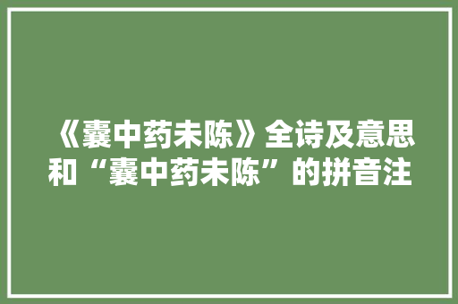 《囊中药未陈》全诗及意思和“囊中药未陈”的拼音注释