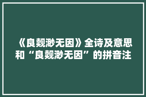 《良觌渺无因》全诗及意思和“良觌渺无因”的拼音注释