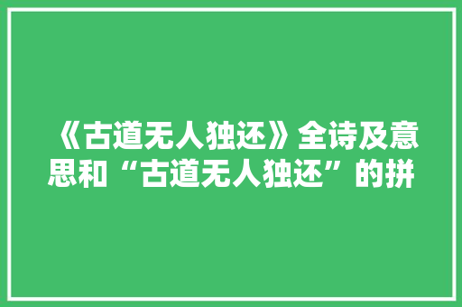 《古道无人独还》全诗及意思和“古道无人独还”的拼音注释