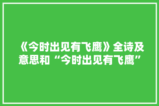 《今时出见有飞鹰》全诗及意思和“今时出见有飞鹰”的拼音注释 诗词鉴赏