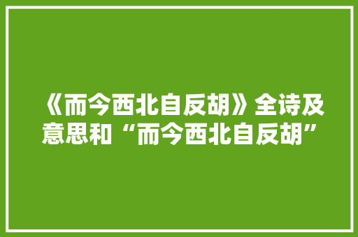《而今西北自反胡》全诗及意思和“而今西北自反胡”的拼音注释 诗词鉴赏