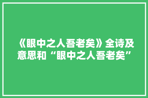 《眼中之人吾老矣》全诗及意思和“眼中之人吾老矣”的拼音注释