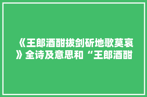《王郎酒酣拔剑斫地歌莫哀》全诗及意思和“王郎酒酣拔剑斫地歌莫哀”的拼音注释 诗词鉴赏