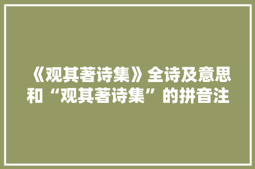 《观其著诗集》全诗及意思和“观其著诗集”的拼音注释 诗词鉴赏
