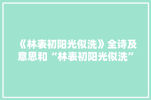 《林表初阳光似洗》全诗及意思和“林表初阳光似洗”的拼音注释