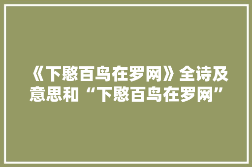 《下愍百鸟在罗网》全诗及意思和“下愍百鸟在罗网”的拼音注释 诗词鉴赏
