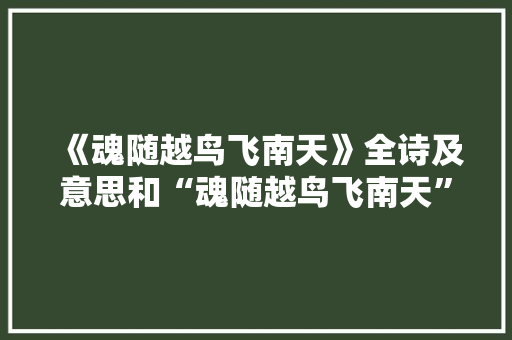 《魂随越鸟飞南天》全诗及意思和“魂随越鸟飞南天”的拼音注释 诗词鉴赏
