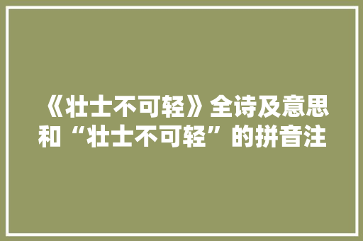 《壮士不可轻》全诗及意思和“壮士不可轻”的拼音注释