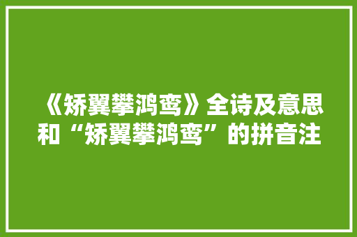 《矫翼攀鸿鸾》全诗及意思和“矫翼攀鸿鸾”的拼音注释
