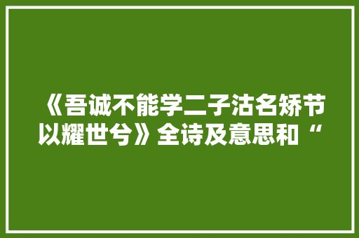 《吾诚不能学二子沽名矫节以耀世兮》全诗及意思和“吾诚不能学二子沽名矫节以耀世兮”的拼音注释