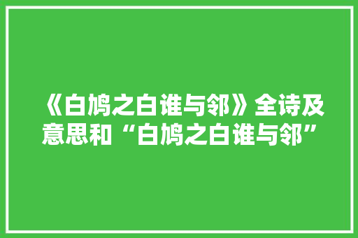 《白鸠之白谁与邻》全诗及意思和“白鸠之白谁与邻”的拼音注释
