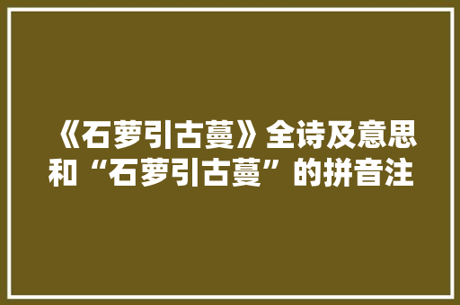 《石萝引古蔓》全诗及意思和“石萝引古蔓”的拼音注释