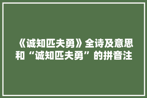 《诚知匹夫勇》全诗及意思和“诚知匹夫勇”的拼音注释 诗词鉴赏