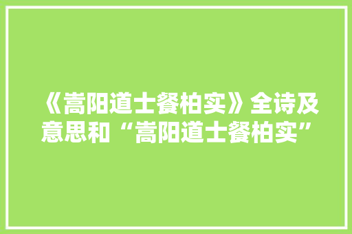 《嵩阳道士餐柏实》全诗及意思和“嵩阳道士餐柏实”的拼音注释 诗词鉴赏