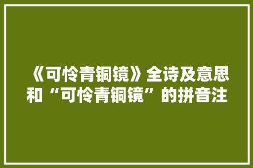 《可怜青铜镜》全诗及意思和“可怜青铜镜”的拼音注释