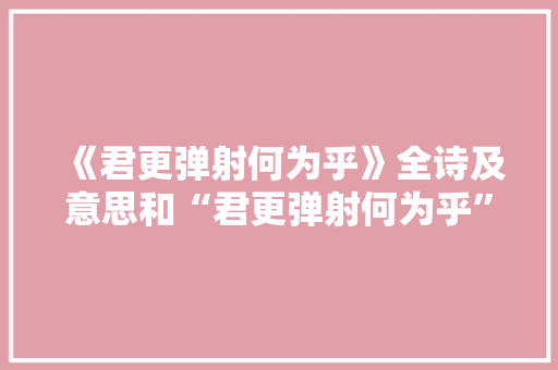 《君更弹射何为乎》全诗及意思和“君更弹射何为乎”的拼音注释 诗词鉴赏