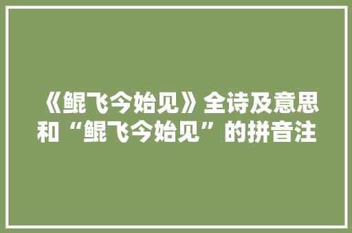 《鲲飞今始见》全诗及意思和“鲲飞今始见”的拼音注释