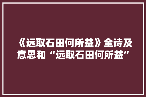 《远取石田何所益》全诗及意思和“远取石田何所益”的拼音注释