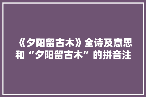 《夕阳留古木》全诗及意思和“夕阳留古木”的拼音注释