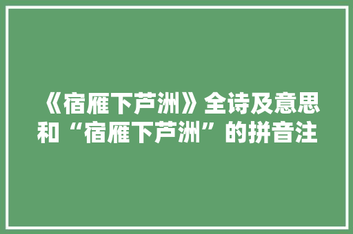《宿雁下芦洲》全诗及意思和“宿雁下芦洲”的拼音注释
