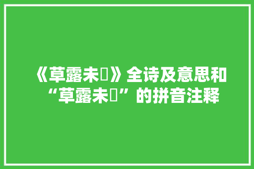 《草露未晞》全诗及意思和“草露未晞”的拼音注释 诗词鉴赏