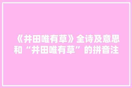 《井田唯有草》全诗及意思和“井田唯有草”的拼音注释 诗词鉴赏