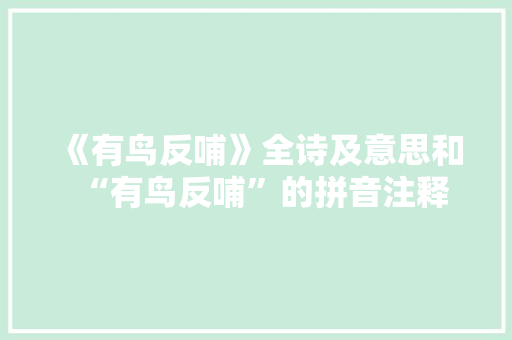 《有鸟反哺》全诗及意思和“有鸟反哺”的拼音注释 诗词鉴赏