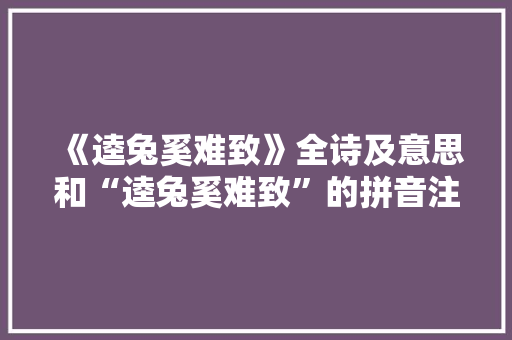 《逵兔奚难致》全诗及意思和“逵兔奚难致”的拼音注释