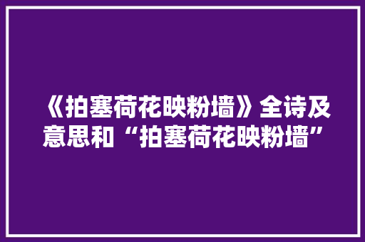 《拍塞荷花映粉墙》全诗及意思和“拍塞荷花映粉墙”的拼音注释