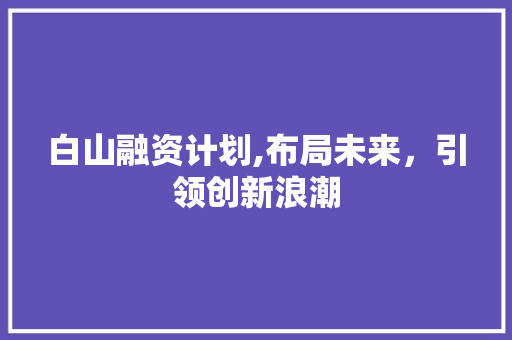 白山融资计划,布局未来，引领创新浪潮