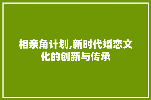 相亲角计划,新时代婚恋文化的创新与传承