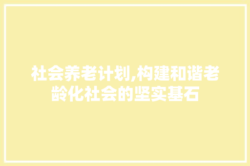 社会养老计划,构建和谐老龄化社会的坚实基石