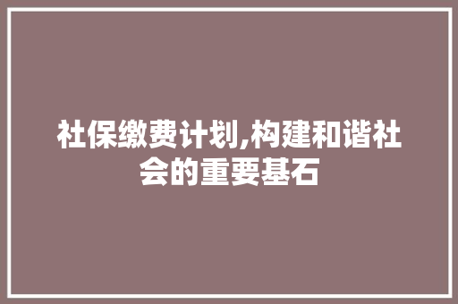 社保缴费计划,构建和谐社会的重要基石