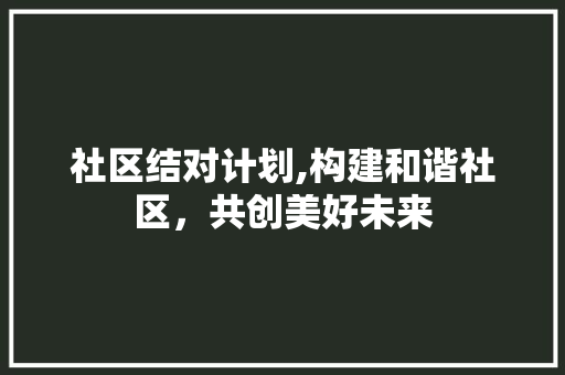 社区结对计划,构建和谐社区，共创美好未来