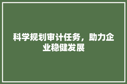 科学规划审计任务，助力企业稳健发展