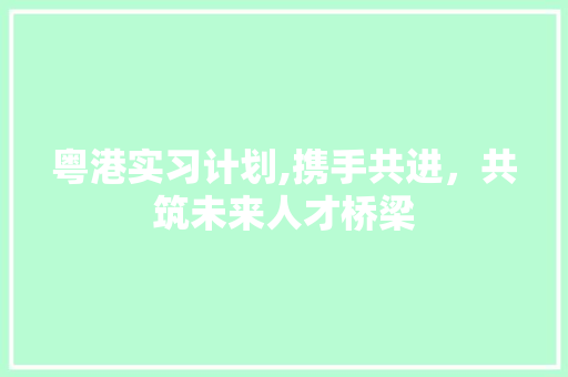 粤港实习计划,携手共进，共筑未来人才桥梁