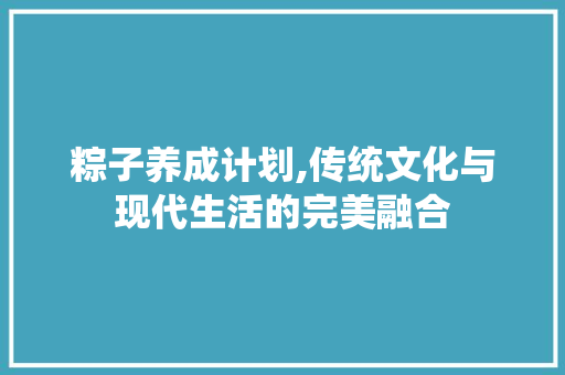 粽子养成计划,传统文化与现代生活的完美融合