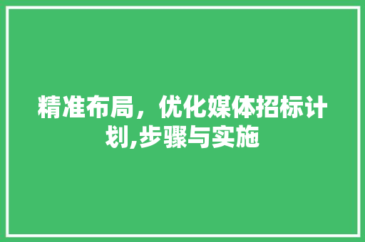 精准布局，优化媒体招标计划,步骤与实施