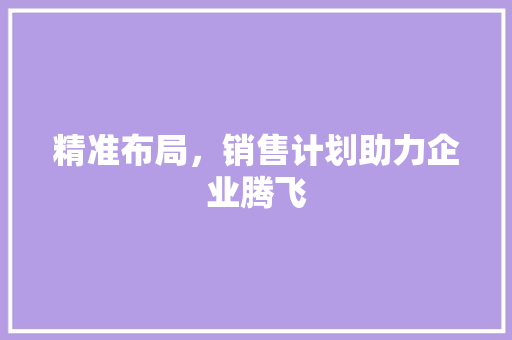 精准布局，销售计划助力企业腾飞