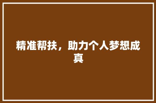 精准帮扶，助力个人梦想成真