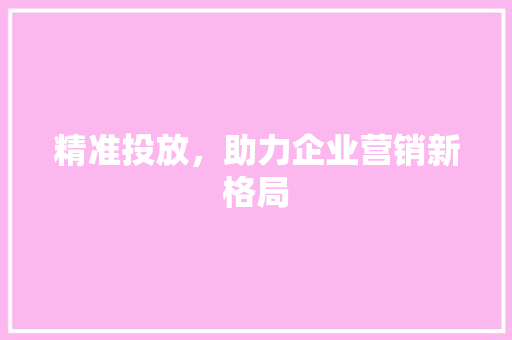 精准投放，助力企业营销新格局