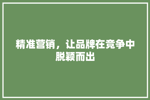精准营销，让品牌在竞争中脱颖而出