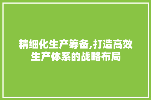 精细化生产筹备,打造高效生产体系的战略布局