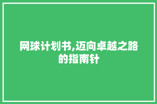 网球计划书,迈向卓越之路的指南针