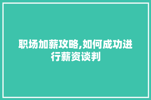 职场加薪攻略,如何成功进行薪资谈判